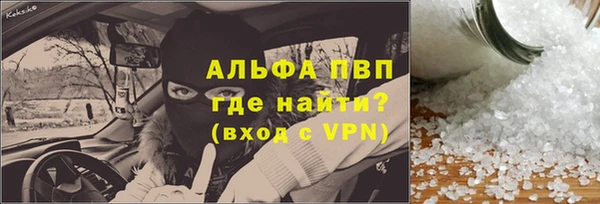 индика Беломорск