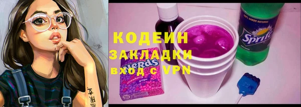 индика Беломорск