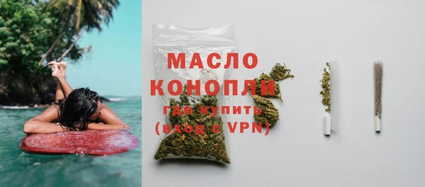 индика Беломорск