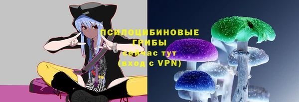 Альфа ПВП Белокуриха