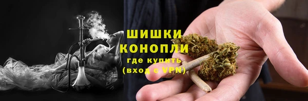 индика Беломорск