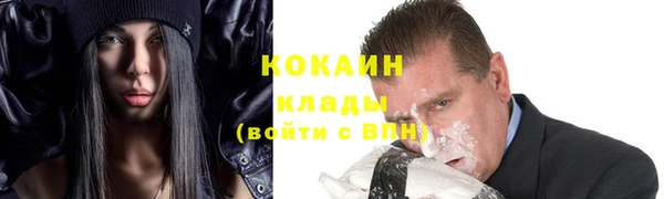 индика Беломорск