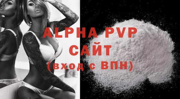 индика Беломорск