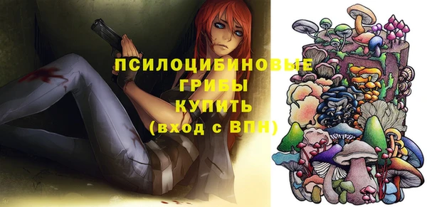 Альфа ПВП Белокуриха